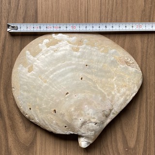 2502161028V`EKCG_2349.JPG