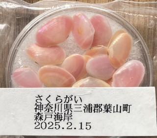 2502161031CE{Lފw񑡂LIMG_2350.JPG