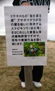 〈事務局日記〉0257:@1511101303掲示板設置・「津屋崎浜」で005.jpg