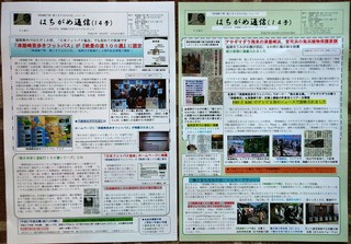 〈事務局日記〉0267:@「はちがめ通信14号」1・2面 優006.jpg