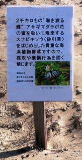 〈事務局日記〉0267:A1512141146保護掲示板遠景トリミング・「津屋崎浜」で007.jpg