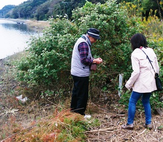 写真1511011428ハマボウ観察・第1回「津屋崎干潟」で第4期ガイド養成講座008.jpg